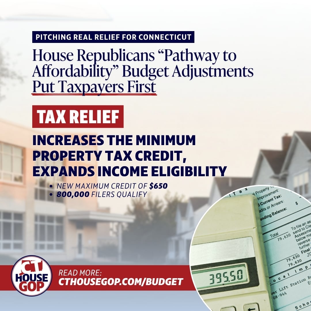 BUDGET PROVISION GRAPHICS.jpg